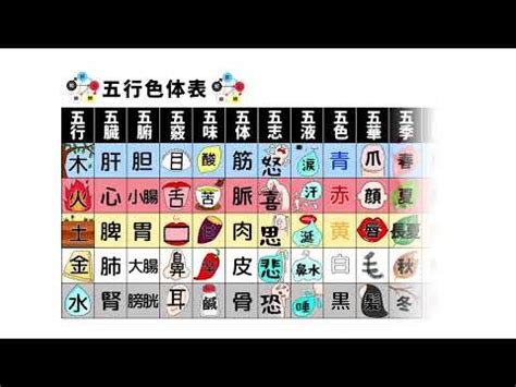 計算五行|快速瞭解你的五行屬性